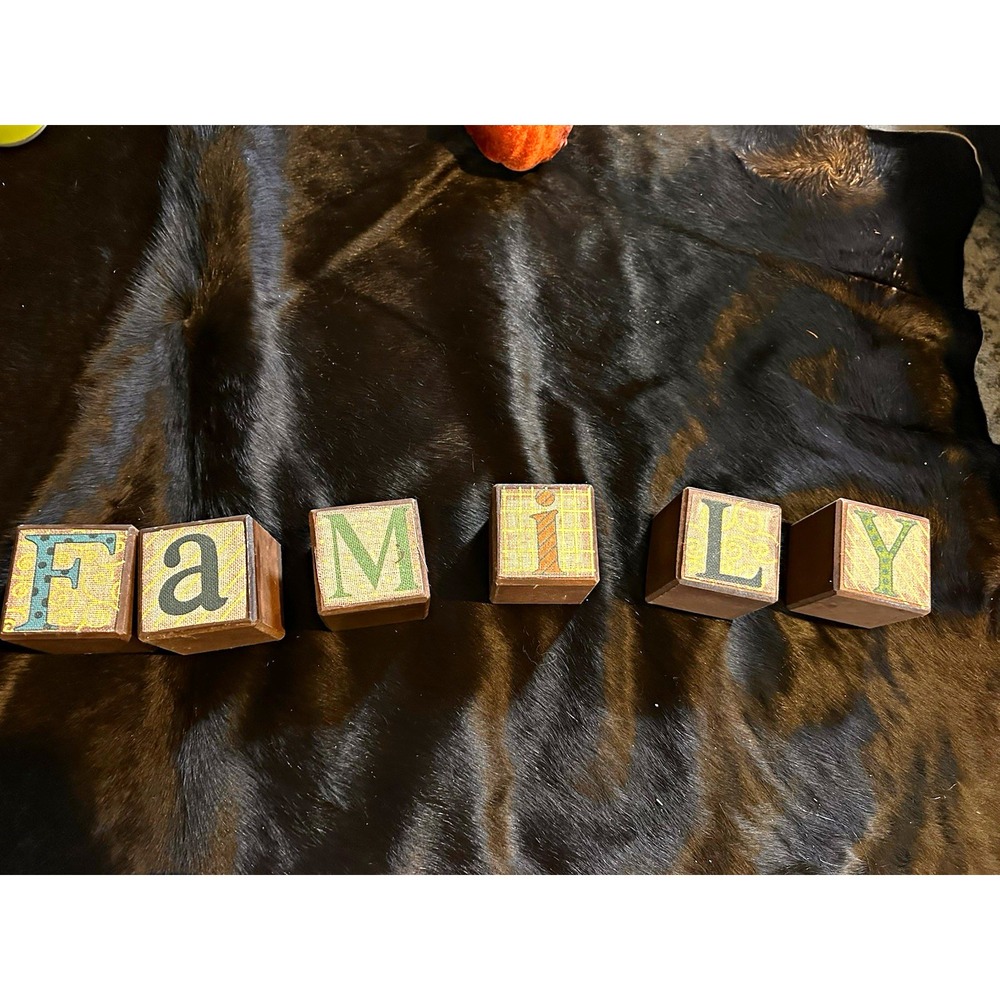 Wooden Alphabet Letter Blocks Spelling "FAMILY" Set of 5 Blocks